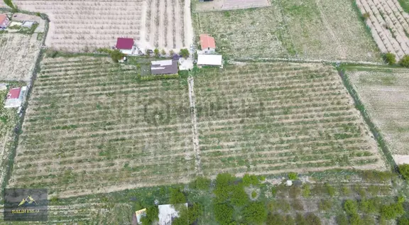 Salih Emlak'tan Sazlıca'da 12.000 M2 Bakımlı Şeftali Bahçesi 2