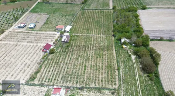 Salih Emlak'tan Sazlıca'da 12.000 M2 Bakımlı Şeftali Bahçesi 1