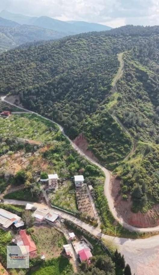 Startkey Star' Dan Hamzabab Da Yol Kenarı Bahçe 2
