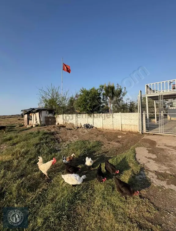 Karasuda Denize Sıfır 2 Parça Arsa Ve Bahçeli Müstakil Ev 2