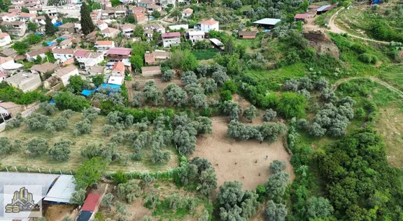 İzmir Tire Sb Emlak'tan Çiniyeri Mah. Satılık Zeytinlik 2