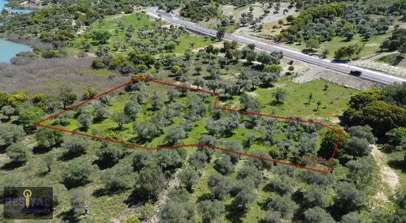 Çankkale Gökçeada Zeytinli Köyde 3.000 M2 Zeytinlik 1