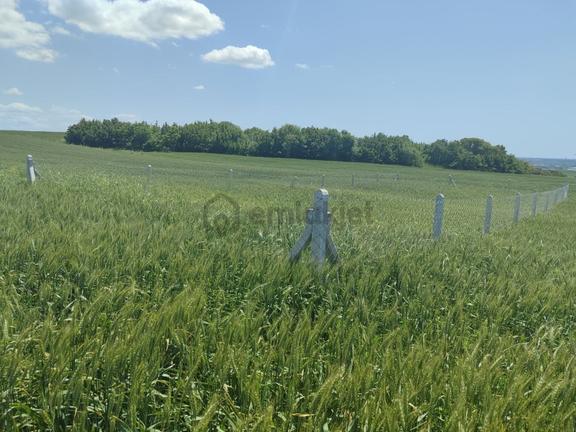 Kırklareli Vize Evrenli Mahalle Dibi 275 M² Tarla 1