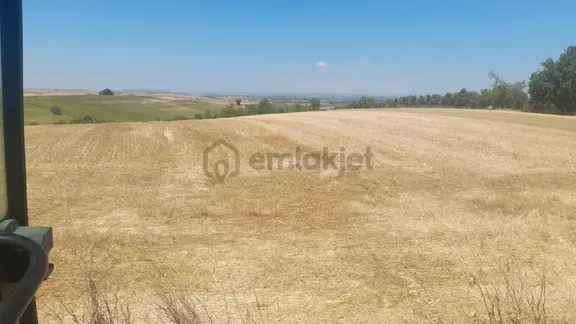 Çağrı Emlak Dan Bölgenin En Uygun Tarlası 2
