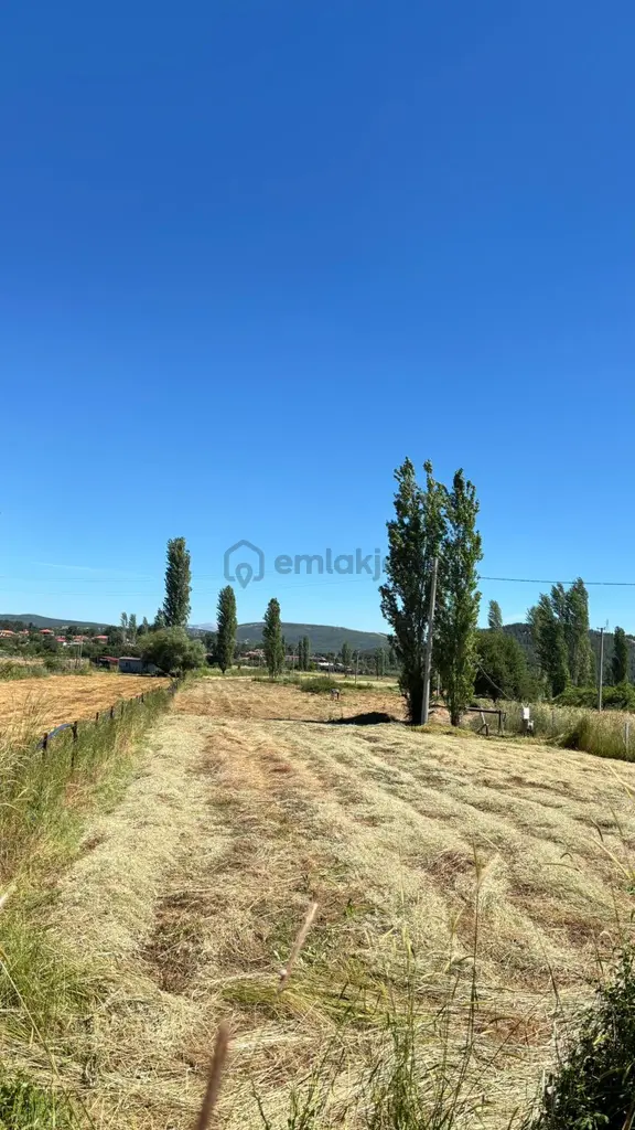 Muğla Menteşe Yenice Mah. Satılık 2.750 M2 Tarla 2