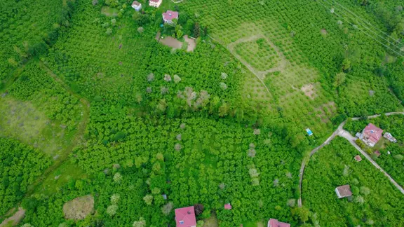 Trabzon Gölçayır Mahallesinde Satılık 2715 M2 Arazi 1