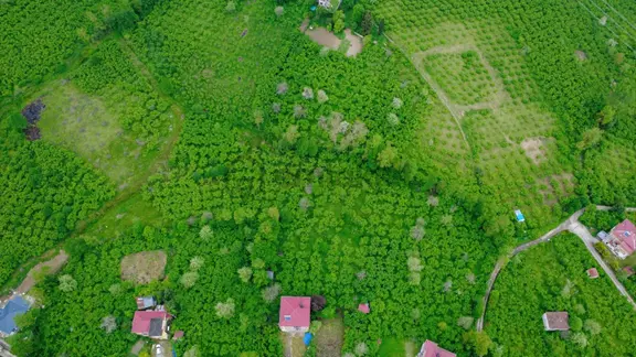 Trabzon Gölçayır Mahallesinde Satılık 2715 M2 Arazi 2