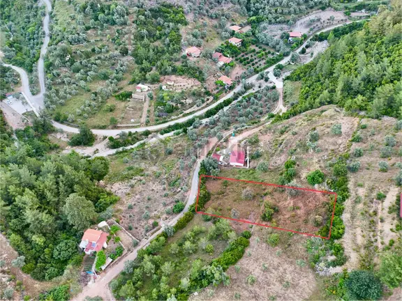 1270m² Zeytinköy’de Gökova’ya Yakın Yatırımlık Premium Tarla 1