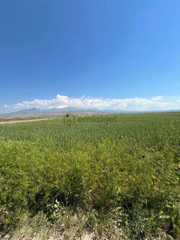 Öz Gaye Emlaktan Develi Sindelhöyük Taşlıyer Mevkinde Satılık Tarla 1
