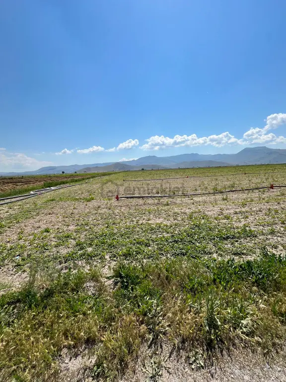 Öz Gaye Emlaktan Develi Sindelhöyük Çalılıyer Mevkinde Satılık Tarla 1