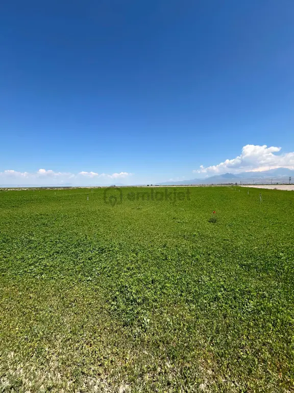 Öz Gaye Emlaktan Develi Sindelhöyük Köyönü Kavurt Mevkinde Satılık Tarla 2