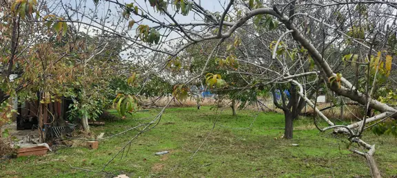 Sahibinden Gelibolu Eğritaş Bölgesinde Müstakil E 1