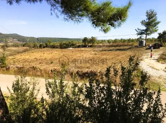 Çanakkale Eceabat Bigalı'da Denize Yakın Asfalta Cepheli Kupon Cevizlik 2