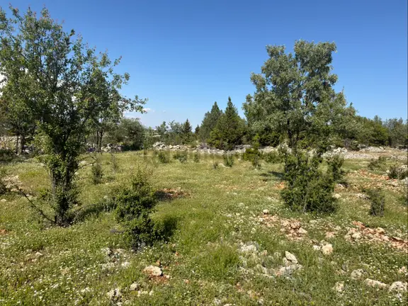 Türe Gayrimenkulden Silifke Kızılgeçitte Satılık Beş Adet Tapu 2