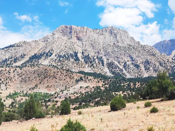 Kar Emlaktan Aşçıbekirli Fenese Mevkiinde 450 M2 Satılık Arsa 2