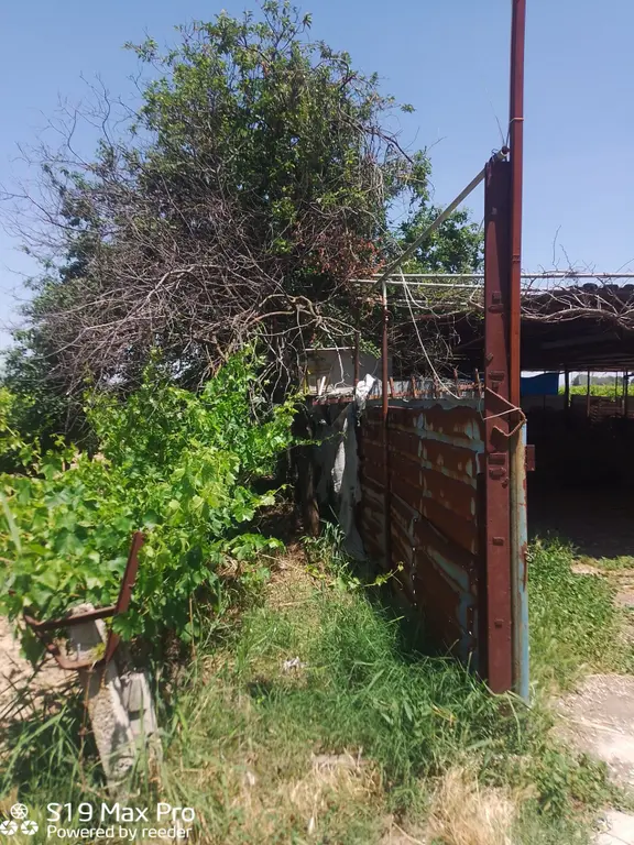 Konum Emlaktan Kiralık Çiftlik Evi-üzüm Bağı-bahçe Ve Hayvan Bakım Çiftliği 2