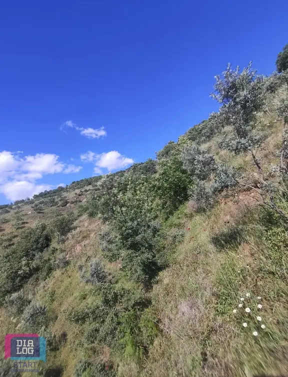 İzmir Kiraz Umurluda Satılık Meyve Bahçesi 2