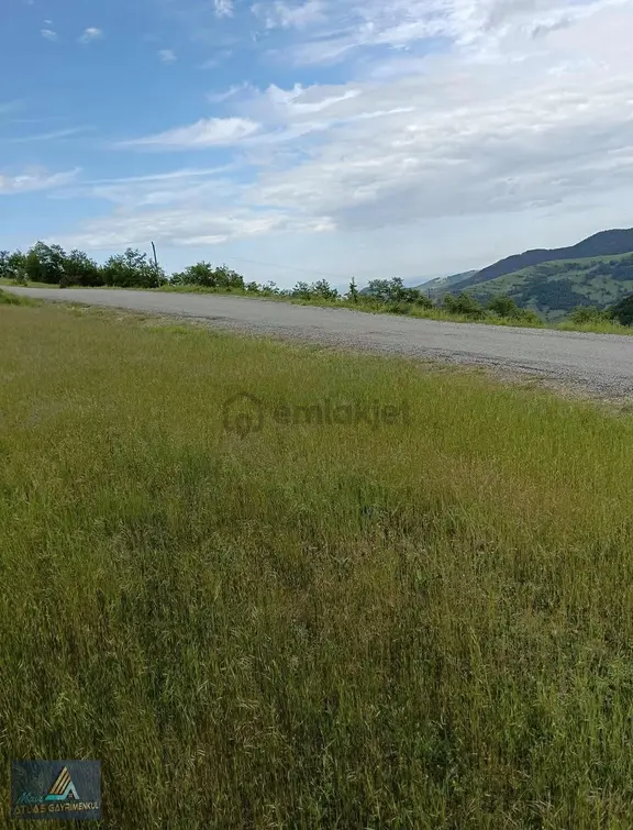Samsun Alaçam Da 4465 M2 Satılık Tarla 1