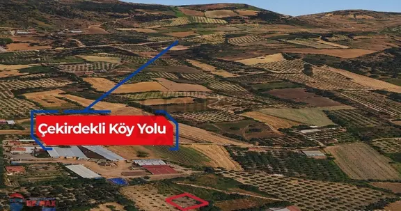Re/max İnci'den Bigadiç Çekirdekli Mah. Satılık Bağ&bahçe 2