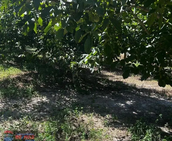 Re/max İnci'den Kepsut İsaalan Mah. 222 M2 Satılık Bahçe 1