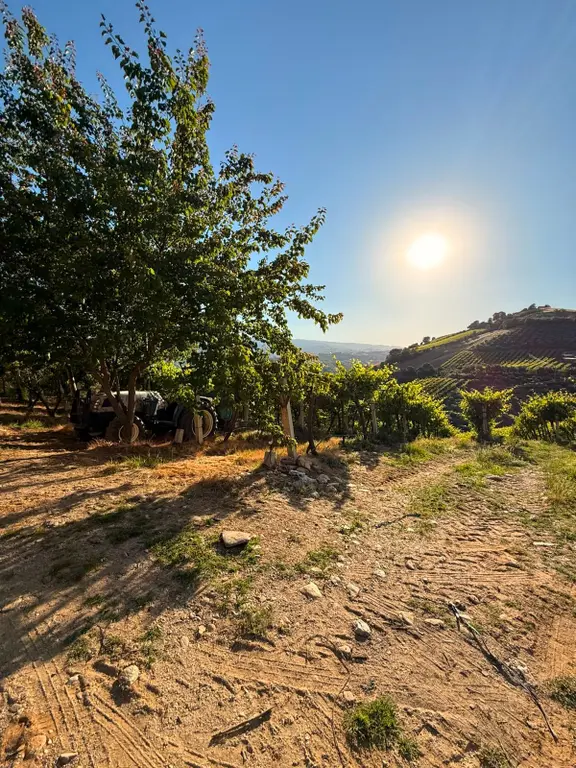 Manisa Alaşehir Alper Gayrimenkulden Uluderbent 5300 M2 Müstakil Elk.-su Takaslı 2
