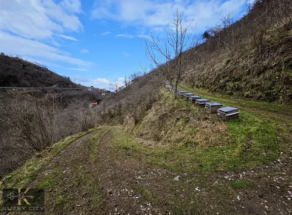 Trabzon Vakfıkebir'de Satılık Fırsat Arazi (9.566 M²) 1