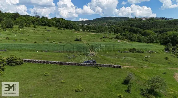 3 Tapu 3'de Resmi Yola Cephe Toplam 4480 M2 Tapu Alanı Kaçmaz 1