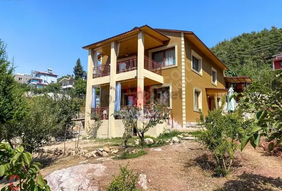 3d Fazla Kullanım Bahçe; Doğa,orman Manzara.... 1