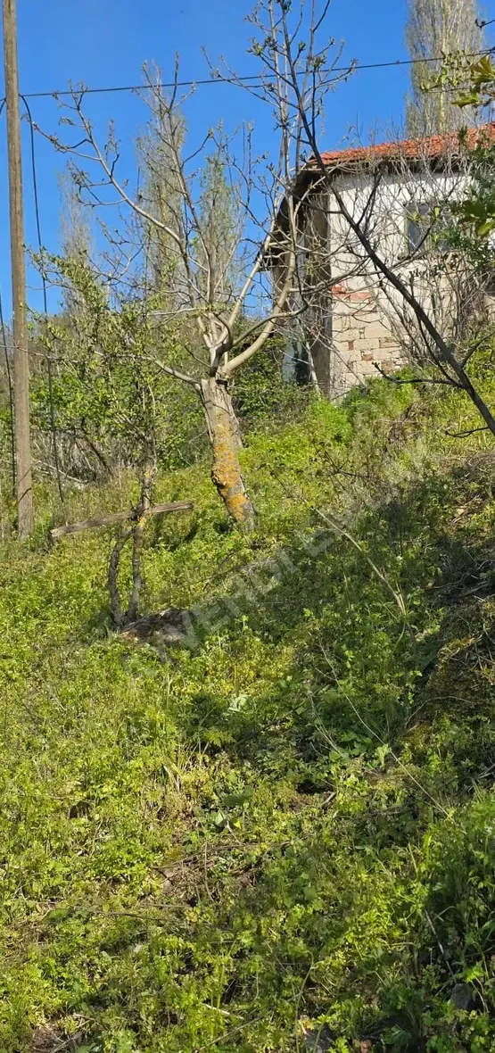 1.512 M2 Bahçeli Müstakil Tapulu Bahçe Ve Ev 1