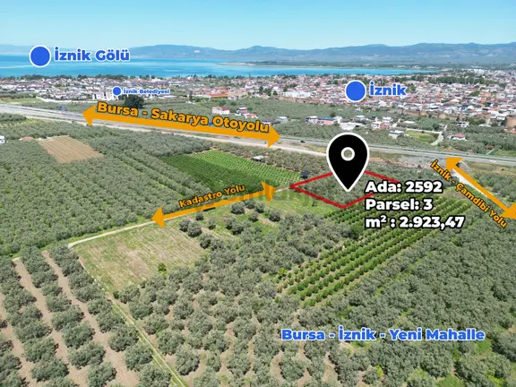 2m Yatırım'dan İznik Merkez Mahallede Fırsat Zeytinlik 1