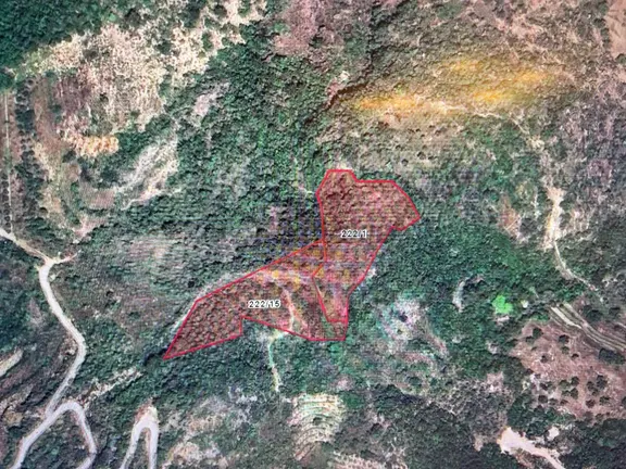 Alanya Türktaş Mah.yatırımlık Satılık 9800 M2 Tarla