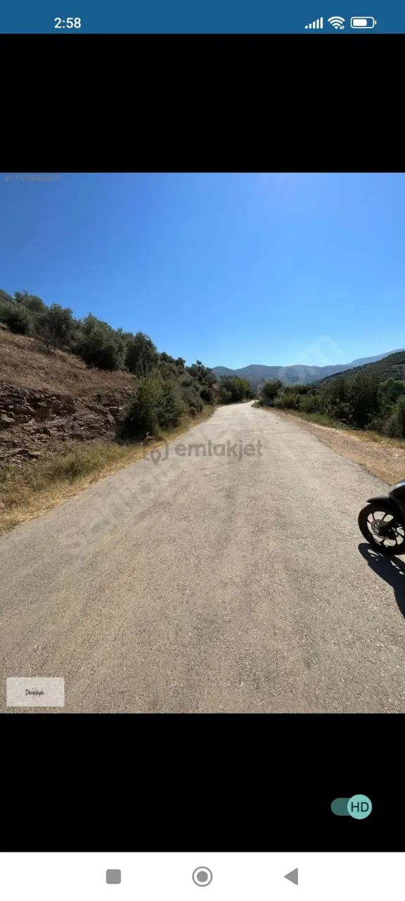 Ödemiş Çamlıca'da Satılık Tek Tapu Bahçe 2
