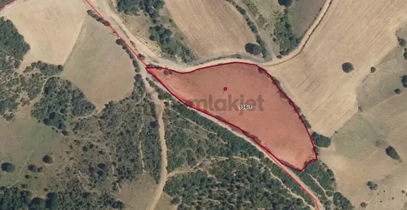 İznik Gölü Yakını Bursa Beypınar Köyü'nde 12dönüm Yola Cephe Yatırımlık Tarla 2