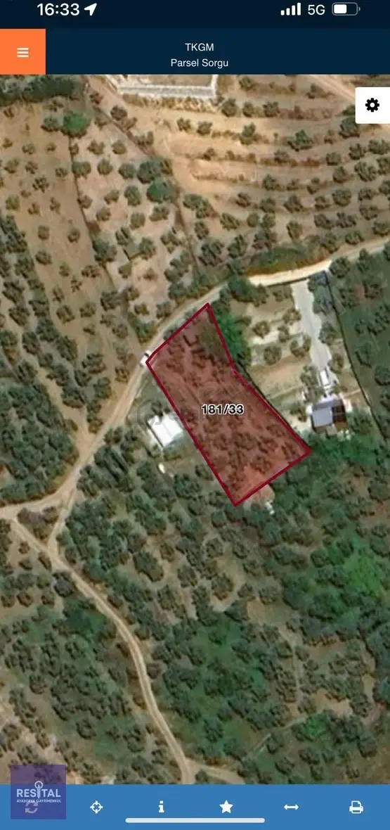 Mudanya Çepni 842m2 Zeytinlik/hobi Bahçesi -bölgenin Gözdesi- 1