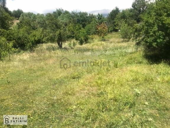 Ballı Yatırım'dan Keles Dağdibi Köyünde Tek Tapu 960m2 Tarla 1