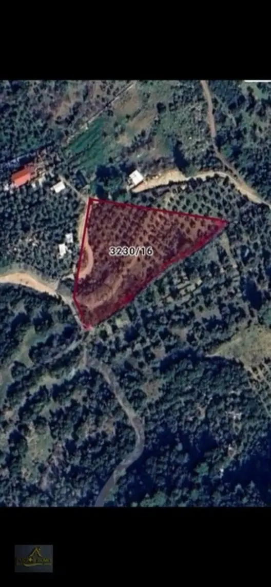 Fethiye Patlangıç Mahallesinde 232m2 Satılık Tarla 2