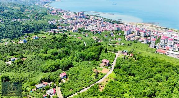 Vyg'den Vakfıkebir Şehır Merkezine Çok Yakın 3,883 M2 Arsa 2