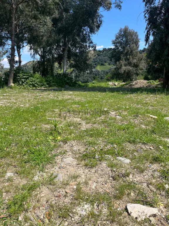 Acarlar Emlaktan Ocaklı 'da 716 M2 Villa İmarlı Satılık Arsa 2