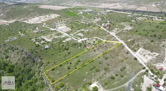 Liva'dan Reşadiye'de 7677 M² Tek Tapu Bağ 2