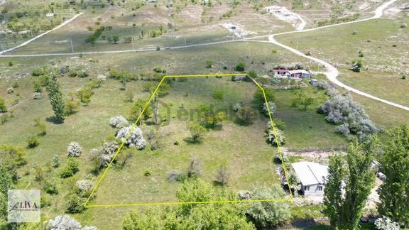 Liva'dan Reşadiye'de 6192 M² Tek Tapu Bağ 2