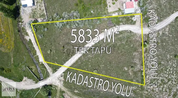 Liva'dan Reşadiye'de 5833 M² Tek Tapu Bağ 1