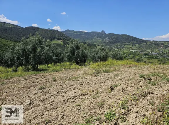 Sakarya Umurbey'de 526m² Projeli Satılık Arsa - Yatırım Fırsatı 1
