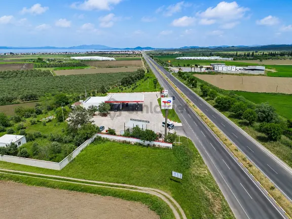 Rota'dan | Ayvalık Altınovada | Ana Yola Cephe | Fırsat Tarla! 2