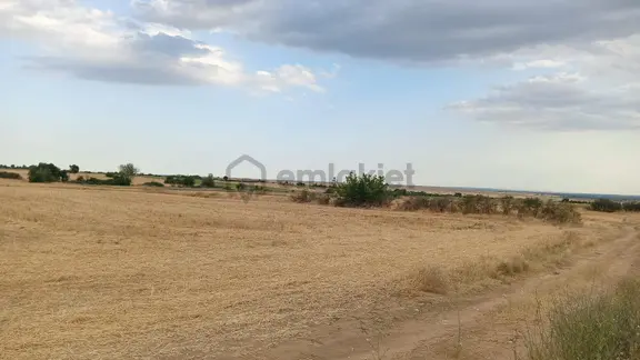 Kırklareli Merkez Kayalı'da 9.350 M² Satılık Tek Tapu Arsa 1