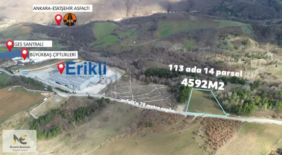 Projesi Hazır 4592m2 Asfalt'a Cephe Harika Konumda Elektrik+su 1