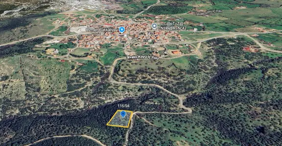 Çanakkale Ezine Tavaklı 2420 M2 Satılık Zeytinlik 2