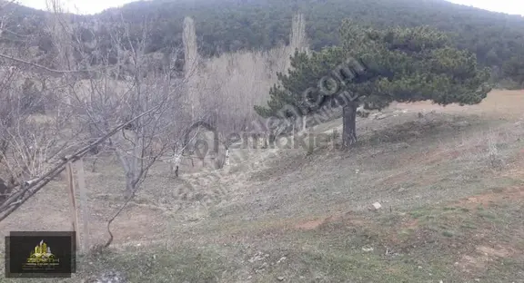 Kestel De Gölete Sıfır 5040 M2 Satılık Kargir Ev Ve Bahçesi 2