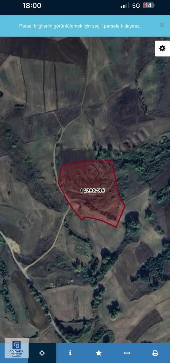Cb.amazon Uzgur Mahallesinde 1439 M2 Yatırımlık Tarla Hissesi 1