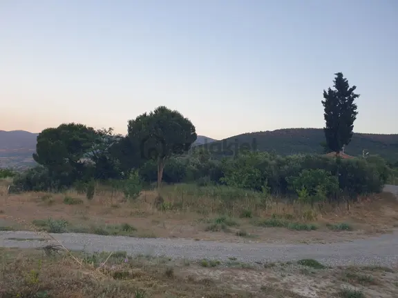 Emsalsiz Arsa 1