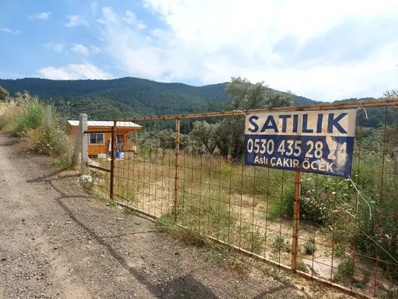 İzmir Kemalpaşa Yeşilköy'de Satılık Zeytinlik İçinde Ağaç Ev 2